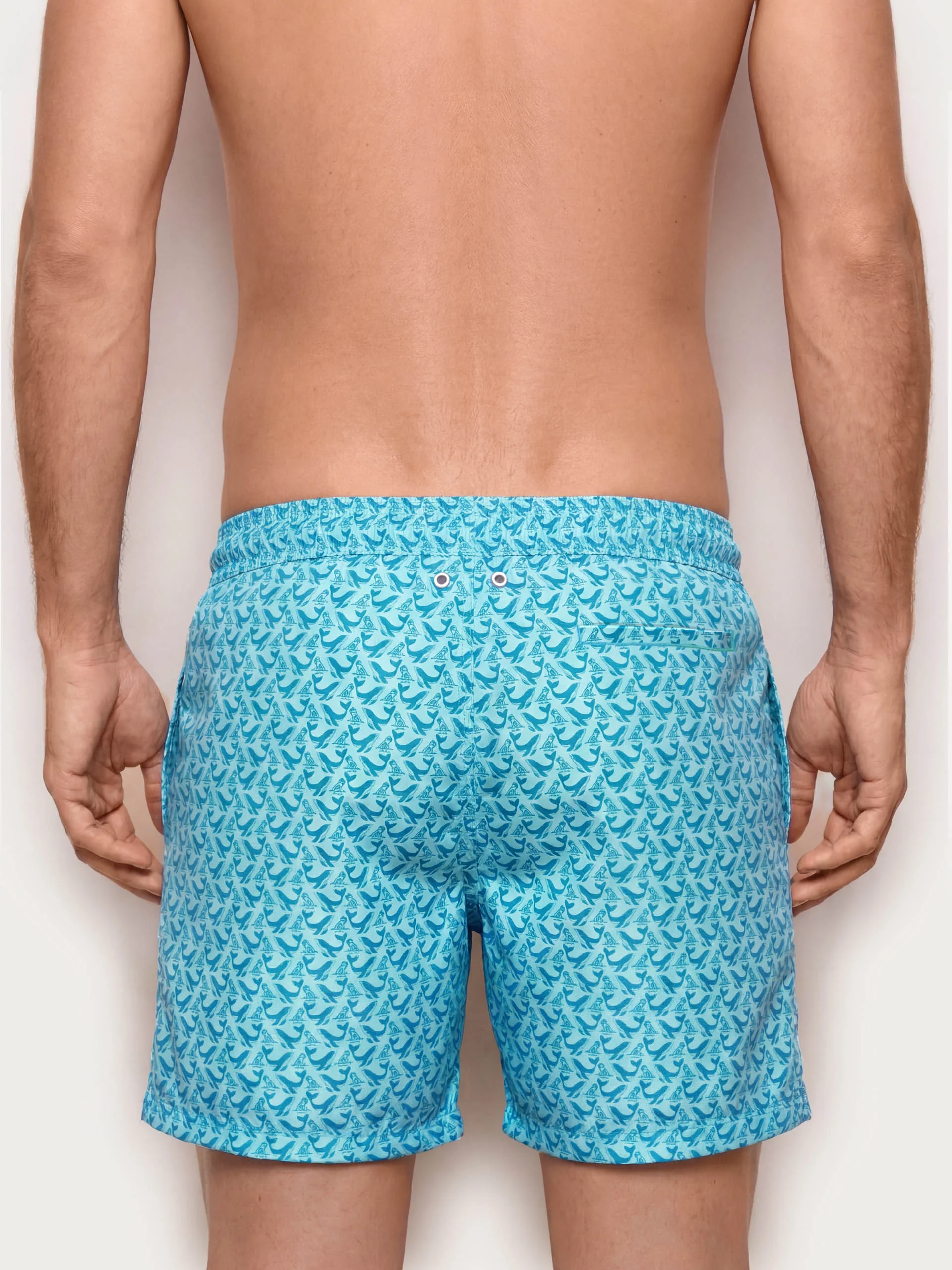 Costume boxer medio - Sea Club - Image 5